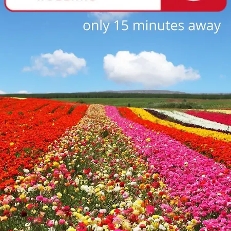 Souterrain Aan Zee *