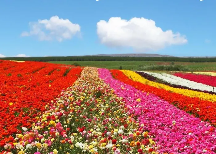 Souterrain Aan Zee *